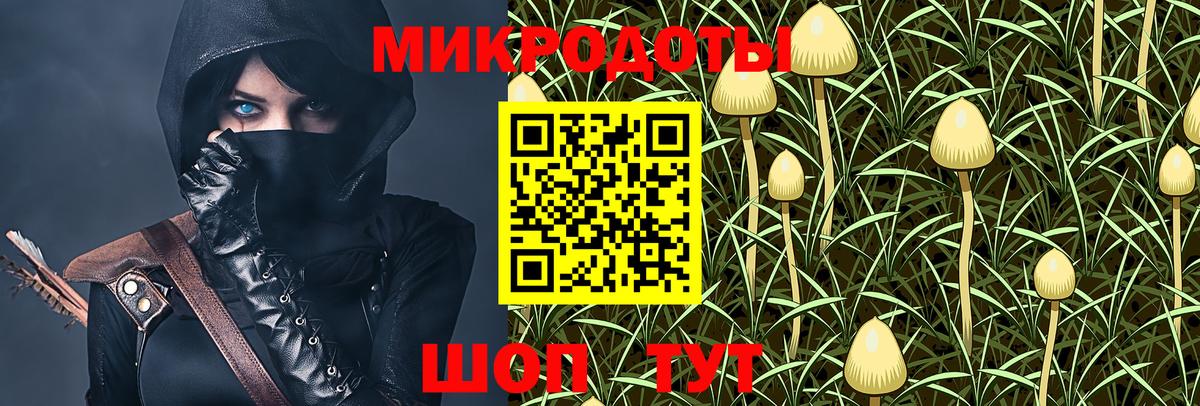 Псилоцибиновые грибы прущие грибы Златоуст