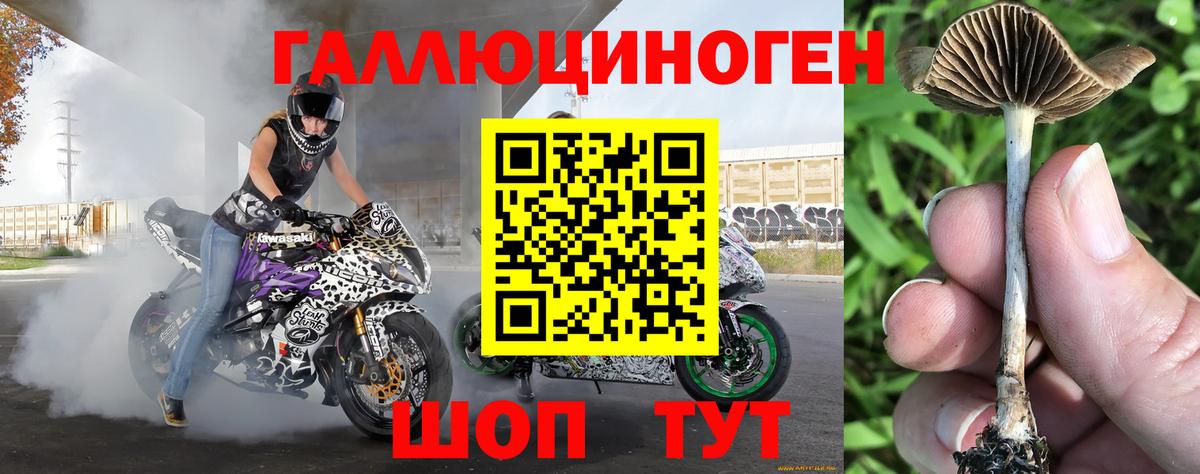 Галлюциногенные грибы Psilocybe  Вход с VPN  Галлюциногенные грибы Psilocybine cubensis  купить закладку  Златоуст 